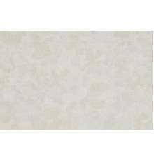 Обои Fipar Meteora R 24127, 10,05×1,06 м, винил на флизелине