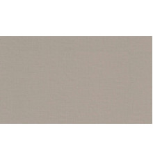 Обои Fipar Italian Comfort R 24222, 10,05×1,06 м, винил на флизелине