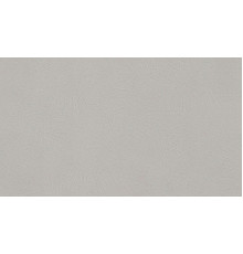 Обои Fipar Italian Comfort R 24250, 10,05×1,06 м, винил на флизелине