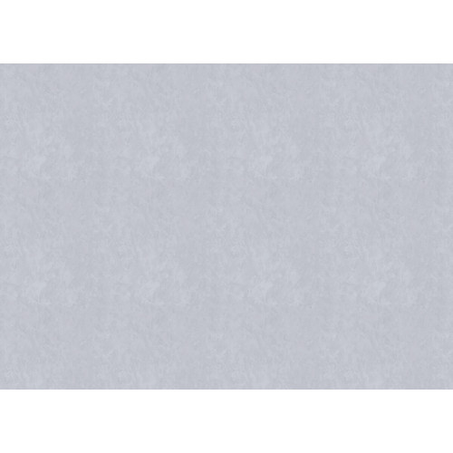 Обои Fipar Modelli di Luce R 25504, 10,05×1,06 м, винил на флизелине