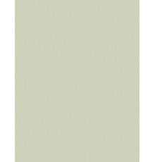 Обои Fipar Modelli di Luce R 25537, 10,05×1,06 м, винил на флизелине
