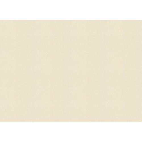 Обои Rasch Allegretto 424058, 10,05×0,53 м, винил на флизелине