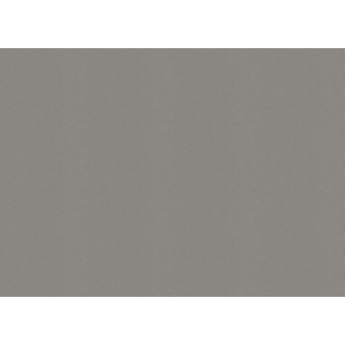 Обои Rasch Allegretto 448627, 10,05×0,53 м, винил на флизелине