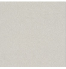 Обои Rasch Allegretto 479430, 10,05×0,53 м, винил на флизелине