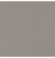 Обои Rasch Natural Colors 555875, 10,05×0,53 м, винил на флизелине