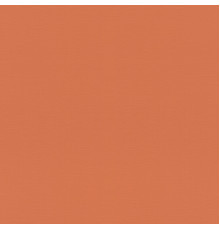Обои Rasch Allegretto 687569, 10,05×0,53 м, винил на флизелине