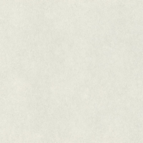 Обои Rasch Wall Textures XL III 957303, 10,05×1,06 м, винил на флизелине