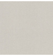 Обои Rasch Wall Textures XL III 961935, 10,05×1,06 м, винил на флизелине